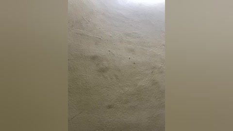 united3 free recording from 2025-12-08 00:28:00