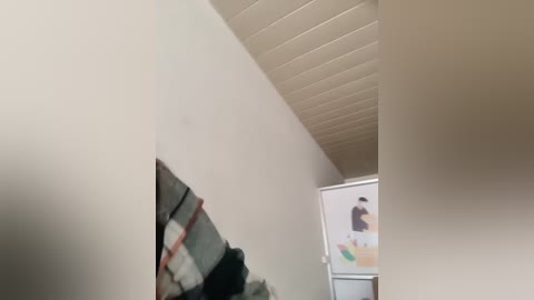 Media: Video of a narrow, dimly lit hallway with a beige ceiling and walls, featuring a cluttered shelf on the left with books and a framed poster on the right.