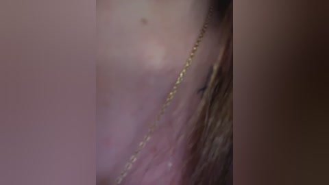 anita_vega free recording from 2025-12-10 00:04:00