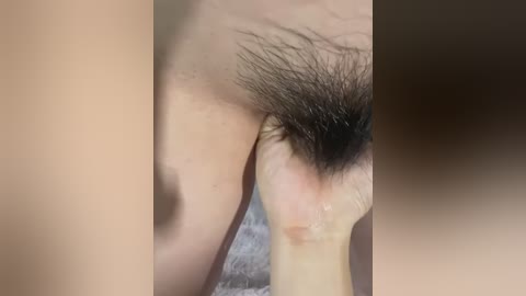 A close-up video shows a hand with trimmed nails gently pulling at a woman's pubic hair, revealing a natural, dark patch. The image is cropped, focusing on the intimate area.