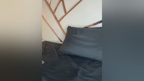 Video of a minimalist bedroom with a dark gray bedspread and pillows against a white wall featuring a wooden geometric pattern.