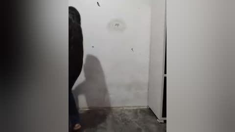 Video of a narrow, dimly lit corridor with a shadowy figure in the background. The walls are white, peeling, and the floor is concrete. The figure appears to be walking away, wearing dark clothing.