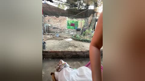 hotnightsexxx free recording from 2025-12-10 00:04:00