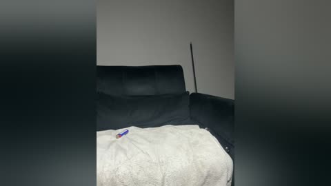 Video of a dimly lit, sparse living room corner with a black leather couch, a white blanket, and a red and blue object on the floor.