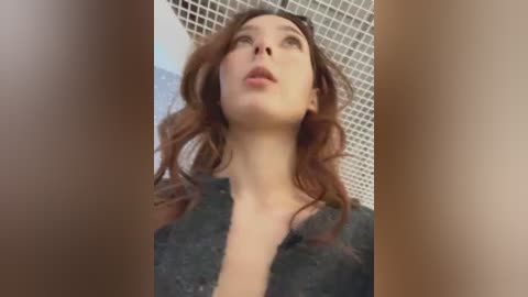 lillukatten free recording from 2025-12-10 00:04:00