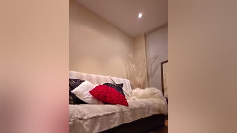 Video of a cozy, beige-walled room with a cream sofa adorned with red and white pillows, a fluffy throw, and tall decorative grasses.