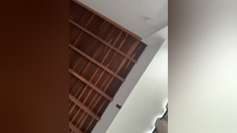 Video of a modern, minimalist interior featuring a large, empty wooden bookshelf with horizontal slats against a white wall. The room has a clean, uncluttered design with a ceiling light fixture visible in the upper right corner.