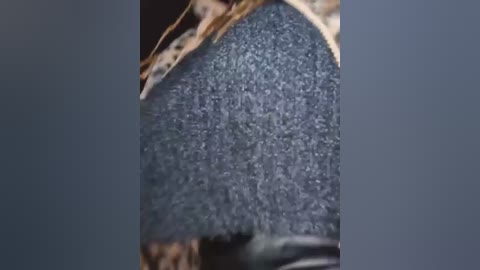 darkdea free recording from 2025-12-10 00:07:00