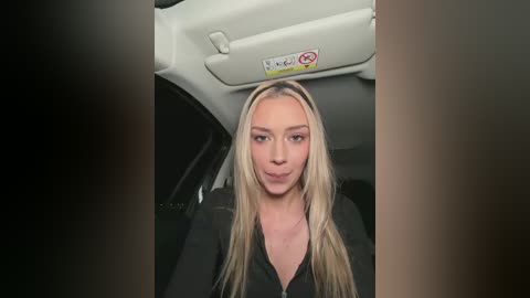 Video of a blonde woman with long hair, wearing a black top, sitting in a car. The car's interior shows a beige roof with a no-smoking sign.