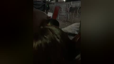 A dimly lit video of a dirty, dark-haired dog curled up on a car seat, surrounded by cluttered, dimly lit garage.