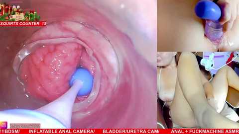Media: Video montage of a woman's vagina, showing internal and external close-ups with a blue dildo inserted. Text overlays include \"No. 1 Hourshower,\" \"Anal & Vaginal Cam,\" and \"Blade Runner.\