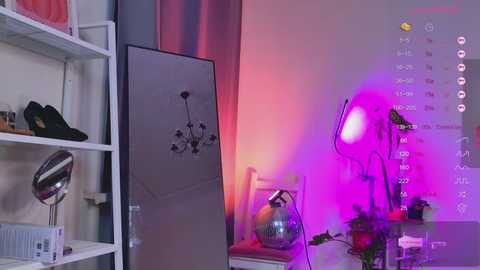 Video of a modern, brightly lit room with purple and pink lighting, featuring a black-framed mirror, a metallic lamp, and a white shelving unit with shoes and accessories.