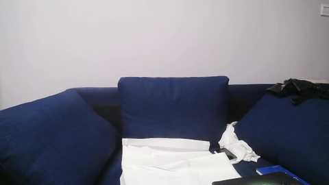 A video of a dark blue, plush sofa with white and black clothes scattered on the floor in front of it against a plain white wall.