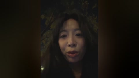 Video of a woman with long dark hair adorned with foliage, wearing a dark top, in a dimly lit room, creating a moody, naturalistic portrait.