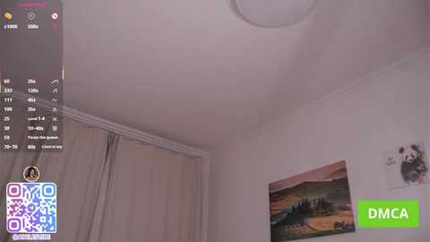 A video showing a white ceiling, beige curtains, a painting of a mountain landscape, and a digital overlay of a QR code and \"DMCA\" text in green.