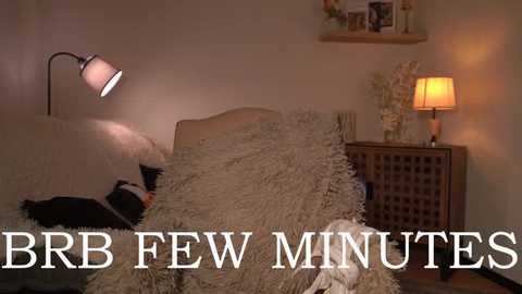 Video of a cozy bedroom with a fluffy white blanket, beige wall, wooden nightstand, lamp, and a cat on the bed. Text overlay reads \"BBB FEW MINUTES.\