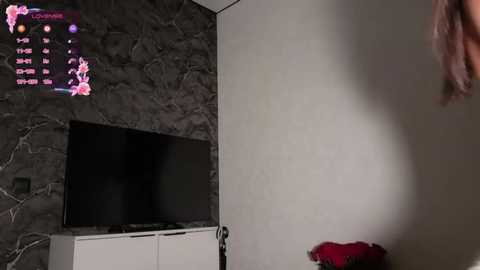 Video of a dimly lit, modern room with a large flat-screen TV mounted on a dark marble wall. A digital clock and a pink flower pattern are visible on the screen.
