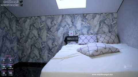 Video of a modern, dimly lit bedroom with a white bed, grey marble-patterned wallpaper, and a small nightstand with a lamp. A ceiling skylight allows natural light to filter in.