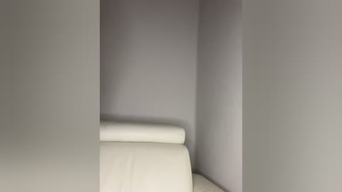 A video of a minimalist interior featuring a white leather couch with a smooth, seamless surface, situated against a plain, light gray wall. The space is devoid of additional furniture or decorations, emphasizing simplicity and modern design.