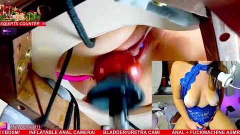 A close-up video shows a nude woman with large breasts, her face obscured by a red dildo, in a BDSM-themed setting with scattered toys and equipment.
