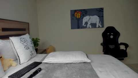 Video of a modern, minimalist bedroom featuring a white bed with a gray blanket, two white pillows, a wooden headboard, a black gaming chair, and a colorful elephant painting on the wall.