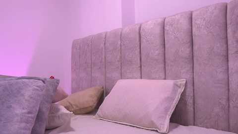A video of a minimalist bedroom corner with a light gray, tufted headboard, beige pillows, and a soft purple accent wall, featuring a small, decorative item on the left.
