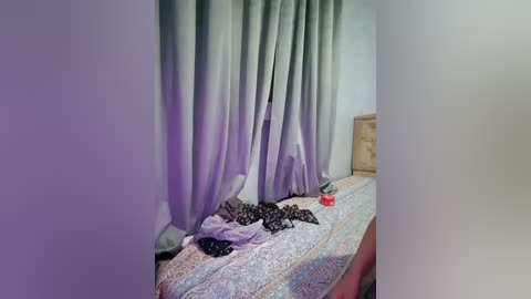 _arabica_ free recording from 2025-12-12 00:14:00