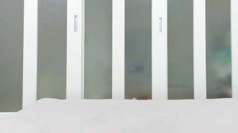 Video of a snowy, white-painted wooden fence with vertical white panels and rectangular glass windows, blurred background, and a snowy ground.