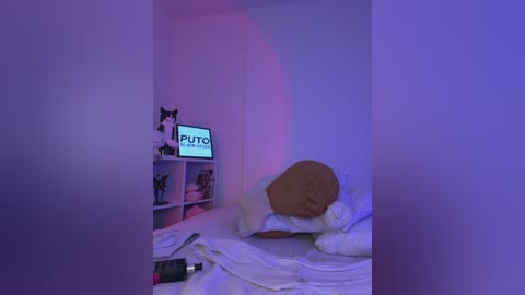 _nobara__ free recording from 2025-12-12 00:14:00