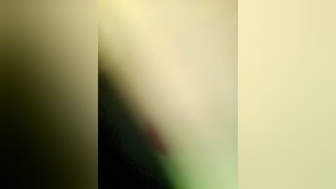 Media: The image is a blurred video featuring a person standing in a dimly lit room. The background is predominantly yellow and green, with indistinct shapes and shadows. The person's identity and details are indistinguishable due to the heavy blur.