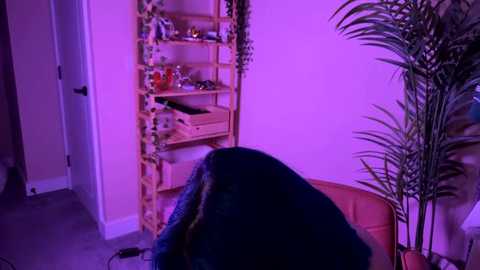 _vixenp free recording from 2025-12-13 02:27:00