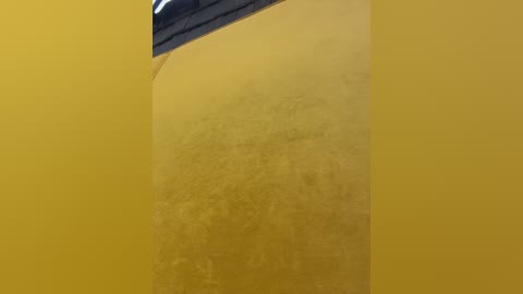 angelinateller free recording from 2025-12-12 00:52:00