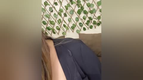 A video shows a person's arm and upper body lying on a beige couch, with a dark blue shirt. The background features a green leaf-patterned wall hanging and a brown cushion.
