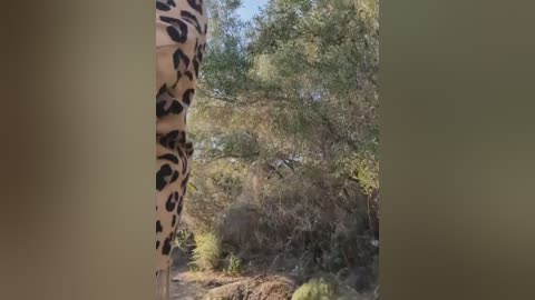 darkdea free recording from 2025-12-12 00:14:00