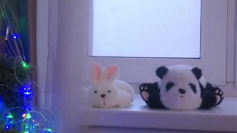 edlinhargus free recording from 2025-12-12 00:14:00