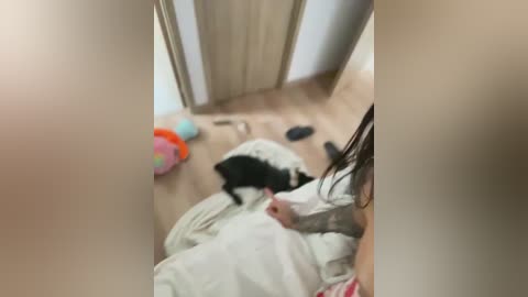 Video of a small black and white dog with a white coat lying on a bed in a room with wooden flooring. A person's arm, partially visible, is reaching out to pet the dog. Toys are scattered on the floor.