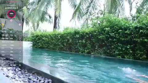Video of a serene, tropical pool surrounded by lush greenery and palm trees, with a clear blue sky visible through the foliage.