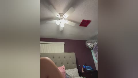 myhoneyfrida free recording from 2025-12-12 00:14:00