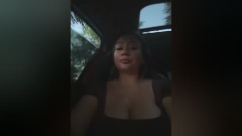 A dimly lit video of a smiling Asian woman with medium skin tone and long black hair, wearing a black top, taken from a car's window, showing blurred greenery outside.
