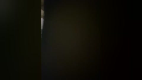 Media: A dimly lit video with a dark, blurry background and a faint, indistinct figure standing on the left side, partially obscured by shadows. The image has a moody, mysterious atmosphere.