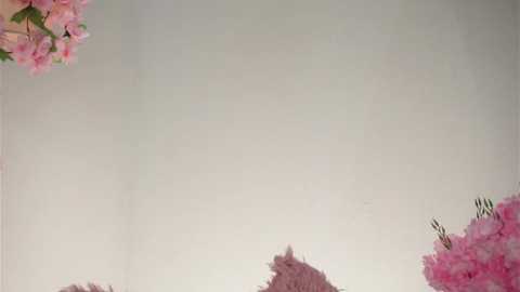 amilewis free recording from 2025-12-13 00:55:00