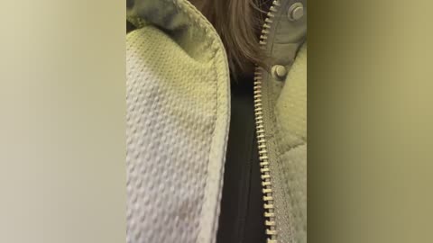 Media: A close-up video of a woman's face, neck, and partially zipped gray jacket with a textured lining. Her long brown hair is partially visible, and the background is blurred in muted colors.