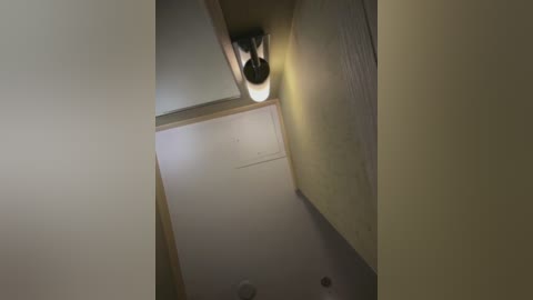 belle___ free recording from 2025-12-13 00:13:00