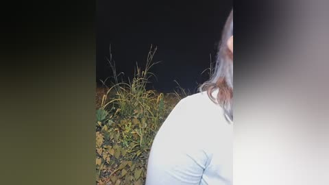 A video captures a person's shoulder and back, partially visible, standing amidst tall grass and bushes in a dark, night-time setting. The individual wears a light-colored top.