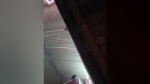 Media: A video showing a partially covered, dimly lit room with a tarpaulin draped over the ceiling, revealing a wooden floor. The image is grainy, with shadows suggesting a poorly lit space.