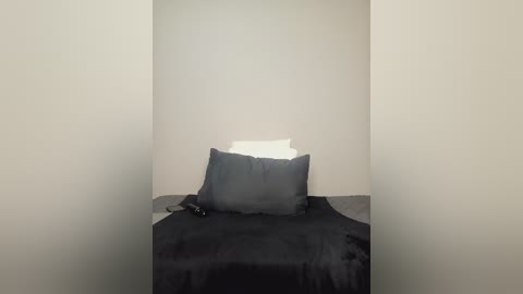 Media: Video of a minimalist bedroom with a single bed covered in a dark gray blanket, featuring a white pillow and a small, black remote control on the side.
