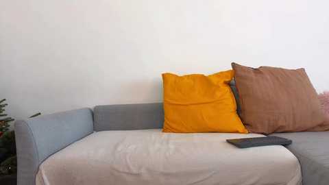 Media: A video of a modern, minimalist living room featuring a light gray sofa with a white throw blanket, two large cushions (one orange, one brown), and a small gray remote control on the cushion.