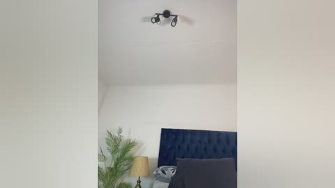 sandylovely212 free recording from 2025-12-13 10:38:00