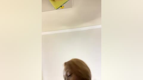 Video of a brown-haired man, cropped head and shoulders, leaning against a cream-colored wall. The background features a yellow and black framed picture hanging above.