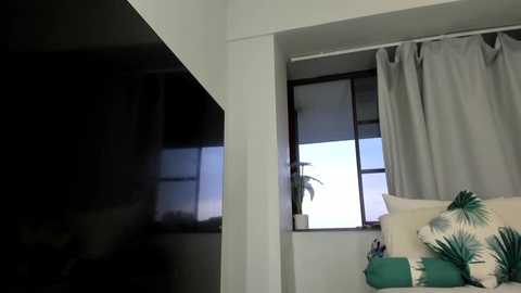 Video of a minimalist bedroom with a large, dark TV screen on the left, a white window with a palm plant on the right, and a bed with green and white pillows.